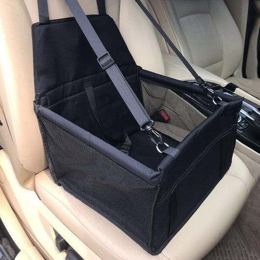Dog Travel Made Easy: Beginner’s Guide to Car Seat Safety & Comfort 🐾🚗
