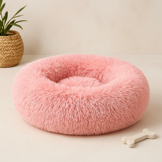 Why Your Pet Isn’t Sleeping Well (and How a Calming Donut Bed Can Help)