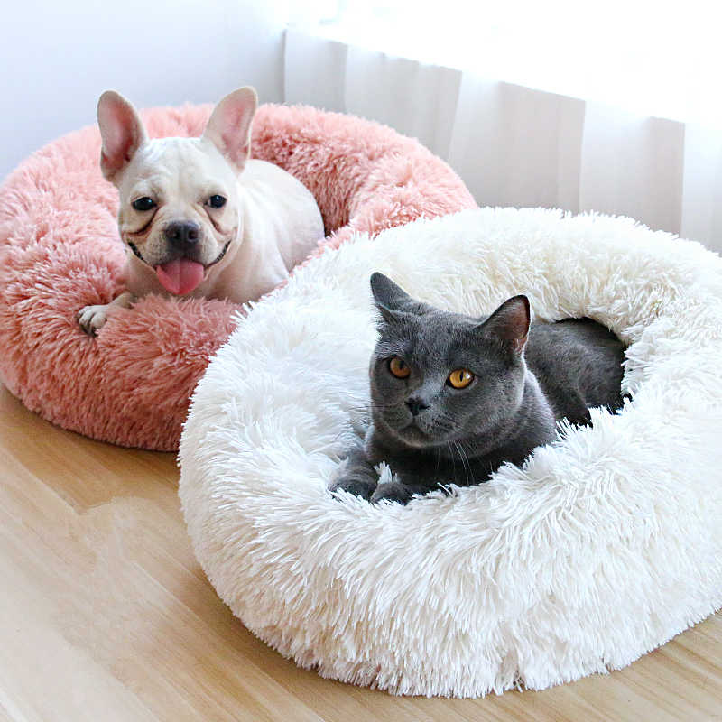 Dog and cat relaxing together on an ultra-soft calming donut bed